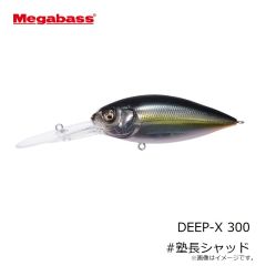 メガバス　DEEP-X ディープX 300 #塾長シャッド