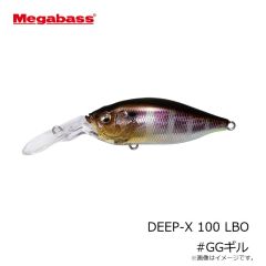 プロックス　PX4362HK 攻棚ワカサギ水切り水槽(ハード) ブラック
