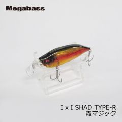 メガバス　アイバイアイシャッド タイプR　I x I SHAD TYPE-R　セクシー大藪シャッド2　イマカツ　今江克隆　伊東由樹　シャッド　バスルアー　釣具　通販　FTO