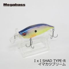 メガバス　アイバイアイシャッド タイプR　I x I SHAD TYPE-R　小南セクシー　イマカツ　今江克隆　伊東由樹　シャッド　バスルアー　釣具　通販　FTO
