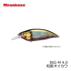 メガバス　BIG-M 4.0　マットタイガー　伊東由樹　クランク　バスルアー　釣具　通販　FTO
