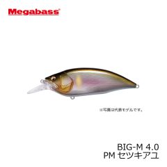 メガバス　BIG-M 4.0　PMセツキアユ