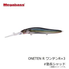 メガバス　ONETEN R ワンテンR+3 #塾長シャッド