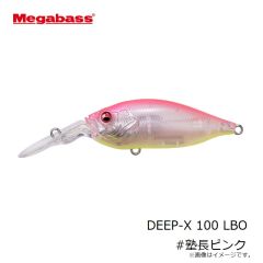 プロックス　PX4362HK 攻棚ワカサギ水切り水槽(ハード) ブラック