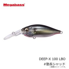 プロックス　PX4362HK 攻棚ワカサギ水切り水槽(ハード) ブラック