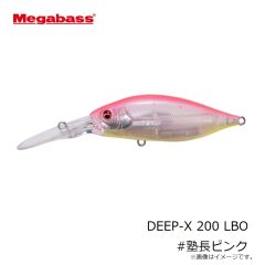 メガバス　スパイン-X 190F # マットタイガー