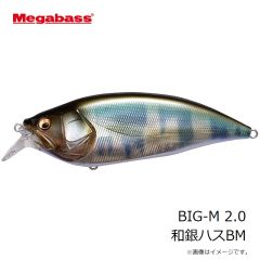 メガバス　GH95 グレートハンティング GG アカキン