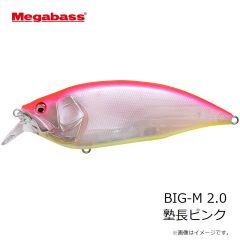 メガバス　GH95 グレートハンティング GG アカキン