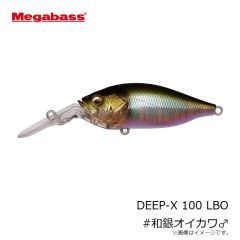 プロックス　PX4362HK 攻棚ワカサギ水切り水槽(ハード) ブラック