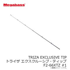 メガバス　TRIZA トライザ EXCLUSIVE TIP F2-66XTZ #1