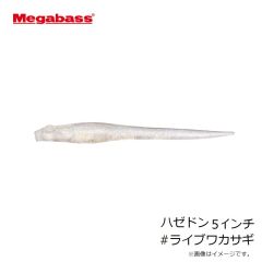 メガバス　ゴーラム147F #マットタイガー