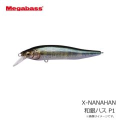ダイワ　SW-4503R-T タイトフィット ソルトウェーダー(先丸) ブラック S