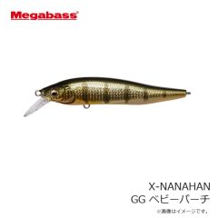 ダイワ　SW-4503R-T タイトフィット ソルトウェーダー(先丸) ブラック S