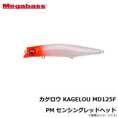 カゲロウ KAGELOU MD125F GG イワシ
