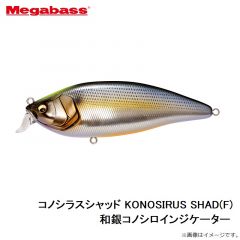 コノシラスシャッド KONOSIRUS SHAD(F) 和銀コノシロインジケーター
