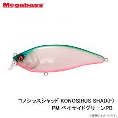 メガバス　コノシラスシャッド KONOSIRUS SHAD(F) PM ベイサイドグリーンPB