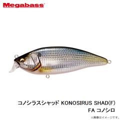コノシラスシャッド KONOSIRUS SHAD(F) FA コノシロ
