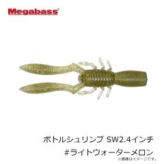 メガバス　ONETEN R ワンテンR+2 #塾長シャッド