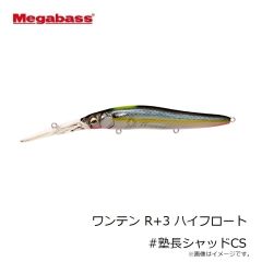メガバス　ワンテン R+3 ハイフロート #塾長シャッドCS