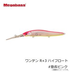 メガバス　ワンテン R+3 ハイフロート #塾長ピンク
