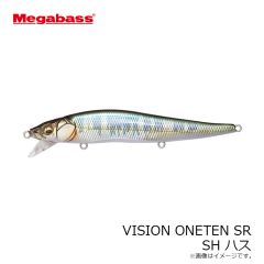 メガバス　VISION ONETEN SR ワンテンSR SH ハス