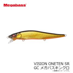メガバス　VISION ONETEN SR ワンテンSR GC メガバスキンクロ