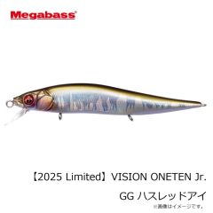 メガバス　VISION ONETEN Jr. ビジョンワンテンJr. GG ハスレッドアイ