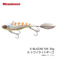 メガバス　X-BLAZAR SW X-ブレーザー SW21g G チャートバックレインボーPB