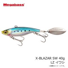 メガバス　X-BLAZAR SW X-ブレーザー SW21g G チャートバックレインボーPB