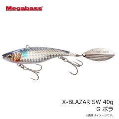メガバス　X-BLAZAR SW X-ブレーザー SW21g G チャートバックレインボーPB