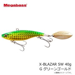 メガバス　X-BLAZAR SW X-ブレーザー SW21g G チャートバックレインボーPB