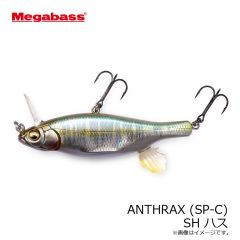 メガバス　ANTHRAX アンスラックス (SP-C) SH ハス
