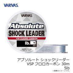 バリバス　アブソルートショックリーダー VSPフロロカーボン 30m 4lb