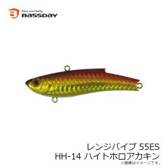 バスデイ　レンジバイブ55ES HH-14 ハイトホロアカキン