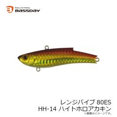 バスデイ　レンジバイブ80ES R-16 イワシ