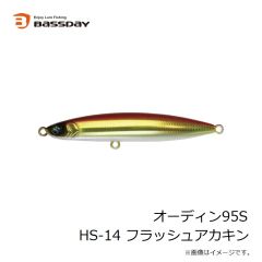 バスデイ　オーディン95S HH-490 ケイムラクリアフラッシュ