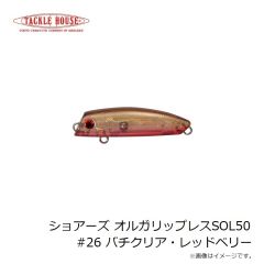 タックルハウス　ショアーズ オルガリップレスSOL43 #6HGレインボー