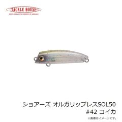 タックルハウス　ショアーズ オルガリップレスSOL43 #6HGレインボー