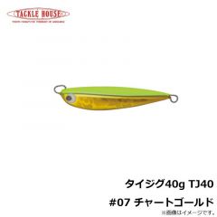 タックルハウス　タイジグ40g TJ40 #07 チャートゴールド