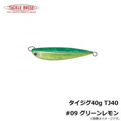 タックルハウス　タイジグ40g TJ40 #09 グリーンレモン