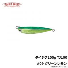 タックルハウス　タイジグ100g TJ100 #09 グリーンレモン
