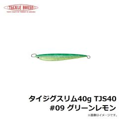 タックルハウス　タイジグスリム40g TJS40 #09 グリーンレモン