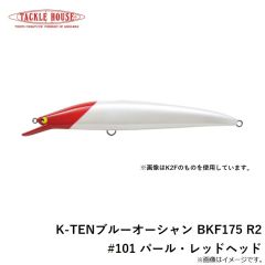 タックルハウス　K-TENブルーオーシャン BKF175 R2 #101 パール・レッドヘッド
