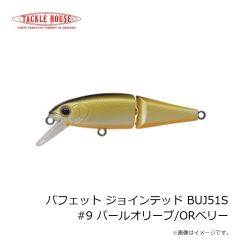 タックルハウス　バフェット ジョインテッド BUJ51S #6 ゴールドレッド