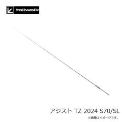 エイテック　アジスト TZ 2024 S70/SL