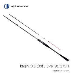 エイテック　kaijin タチウオテンヤ 91 175H