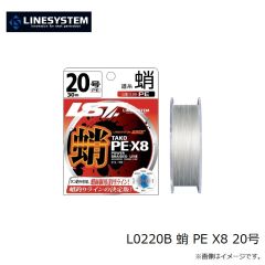 ラインシステム L4120F ロックゲーム FC 2lb