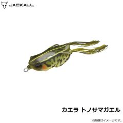 ジャッカル　カエラ トノサマガエル