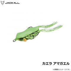 ジャッカル　カエラ アマガエル
