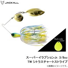 スーパーイラプションJr. 1/2oz TW ワカサギ
